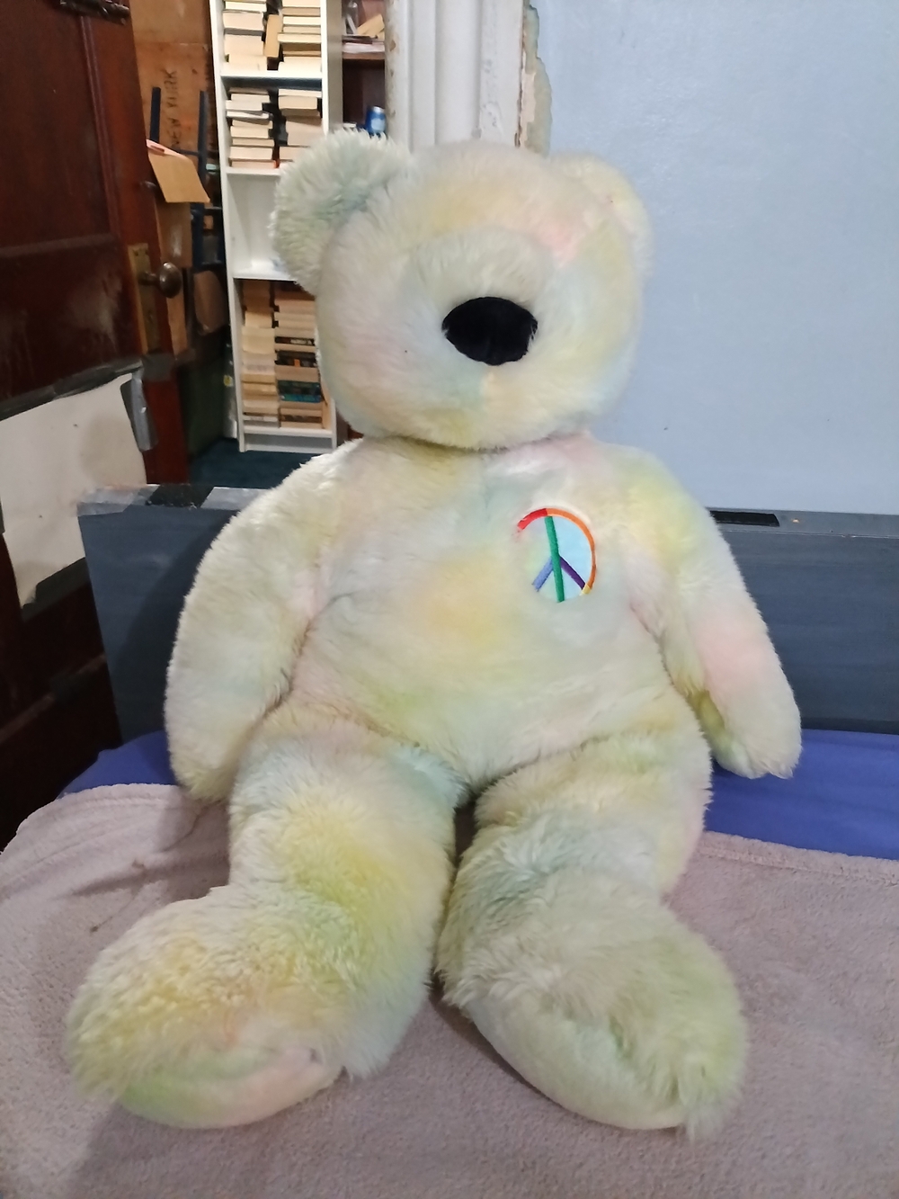 Ty Pastel Rainbow Peace Bear Plush - Multicolor